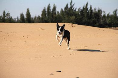 《星空》不支持玩家从太空无缝飞到星球上
